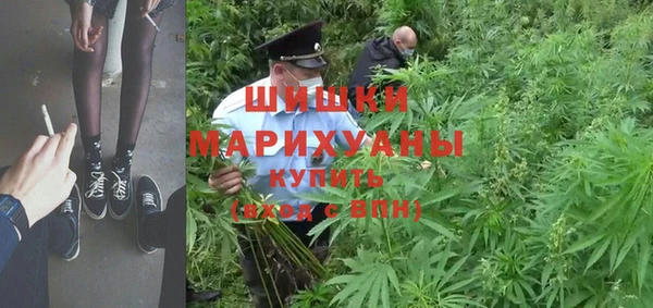 ешки Аркадак