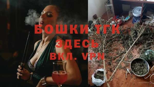 ешки Аркадак