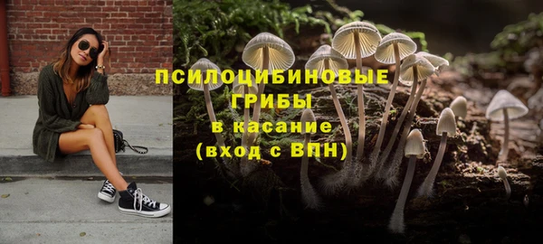 ешки Аркадак