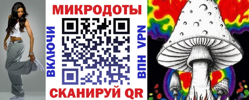 Псилоцибиновые грибы Psilocybe  Могоча 